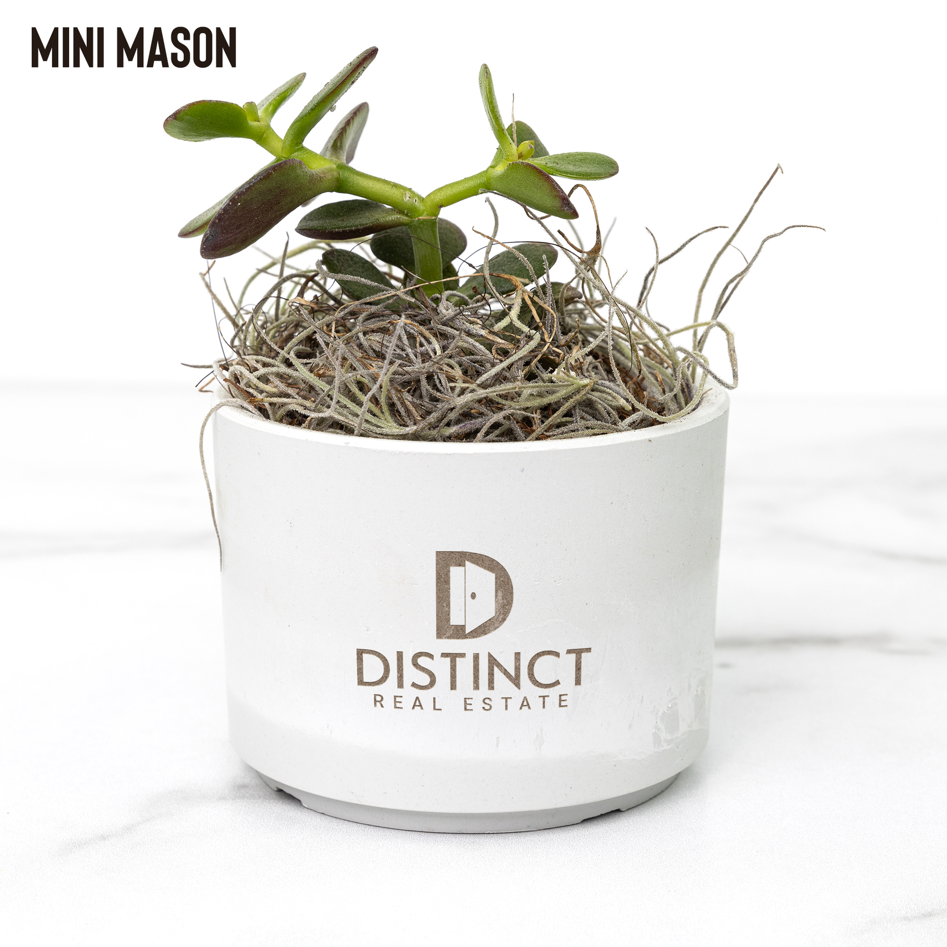 Desk_Plant_Mason_Mockup_Mockup.png