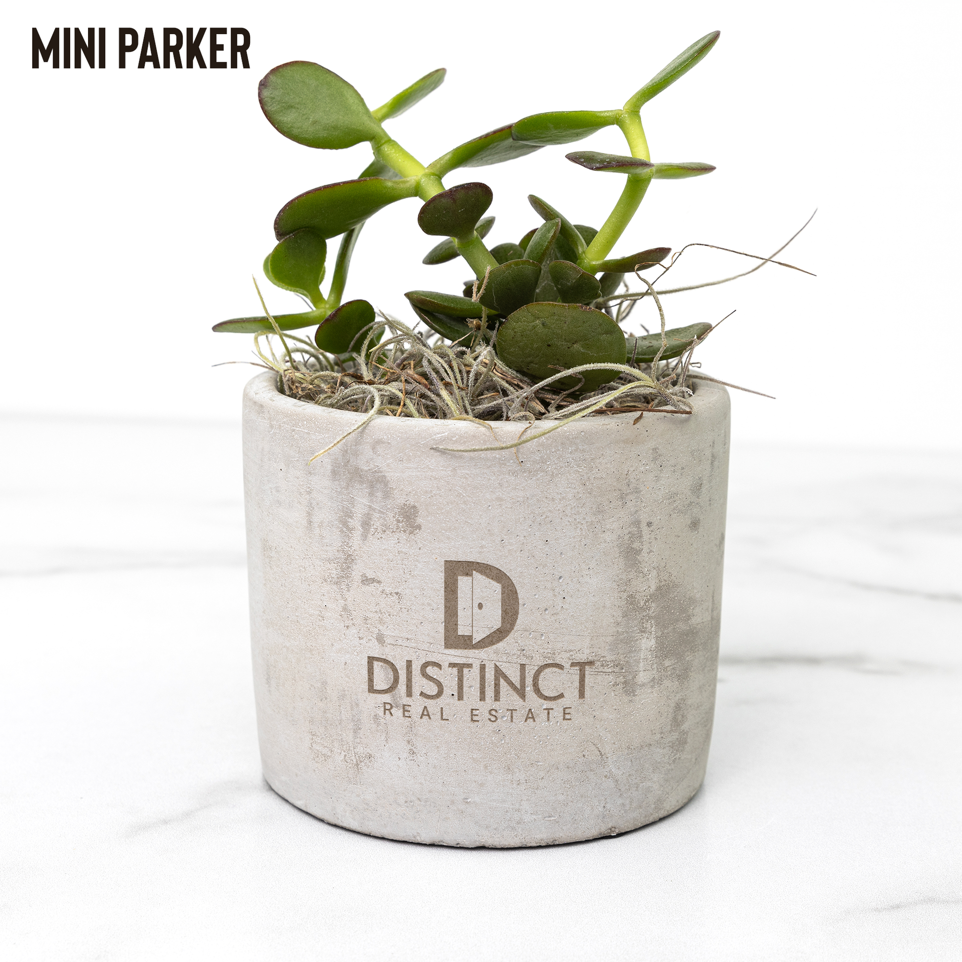 Desk_Plant_Parker_Mockup_Mockup.png