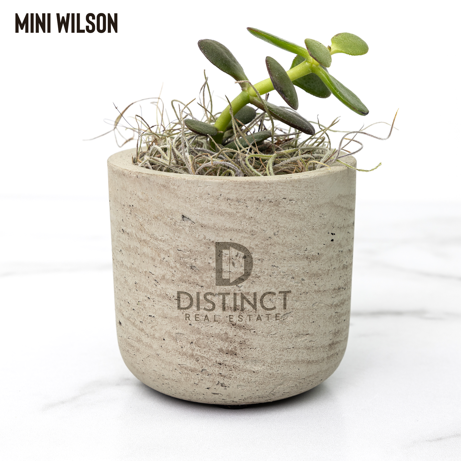 Desk_Plant_Wilson_Mockup_Mockup.png