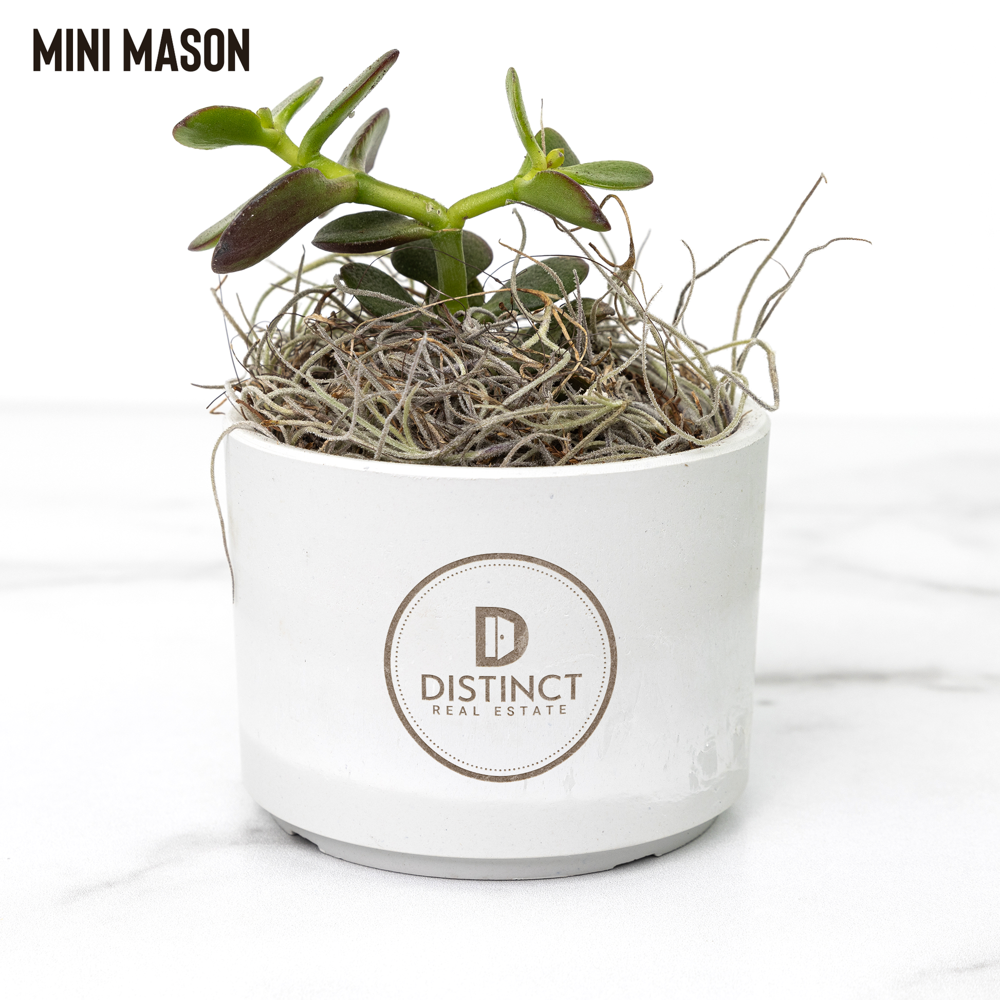 Desk_Plant_with_Circle_Logo_Mason_Mockup_Mockup.png