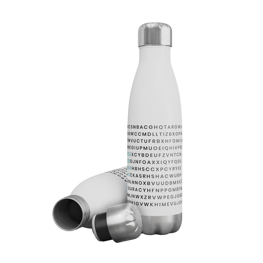 Word_Search_Insulated_Water_Bottle_WaterBottle_2Bottles_Mockup.png